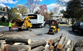 Best Leaf Removal  in Haddon Heights, NJ